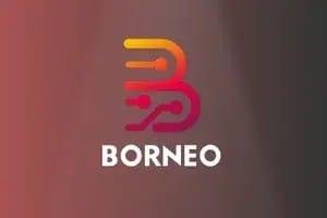 Borneo Schematic 3 Months 1PC New & Renew Activation