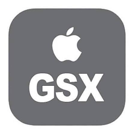 Full GSX Report - Promo [IMEI/SN]