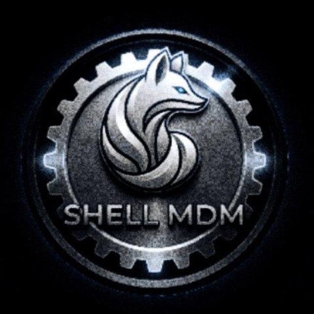 ShellTool - 1 Years (Activación) Instant